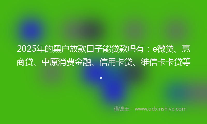 2025年的黑户放款口子能贷款吗有：e微贷、惠商贷、中原消费金融、信用卡贷、维信卡卡贷等。