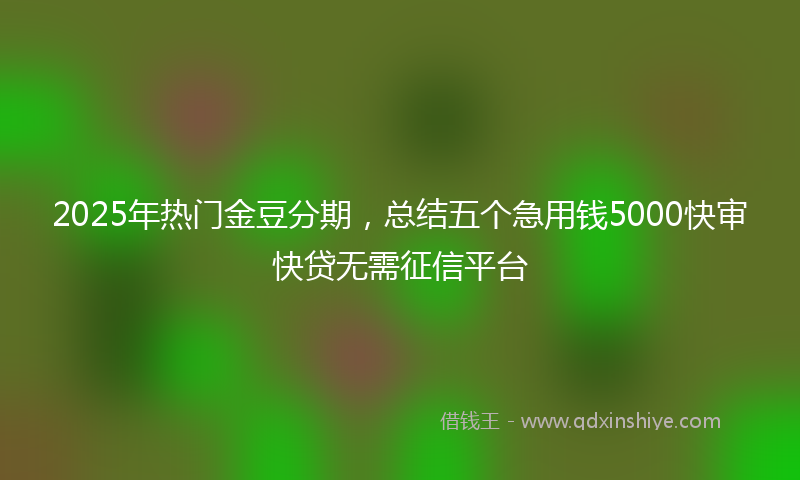 2025年热门金豆分期，总结五个急用钱5000快审快贷无需征信平台