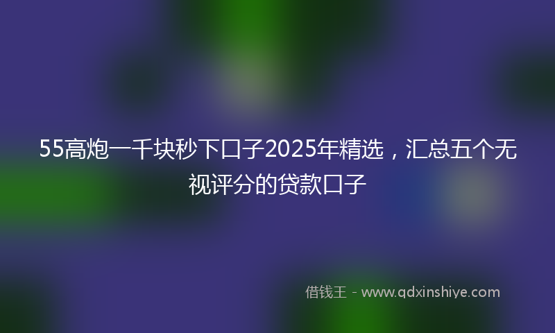 55高炮一千块秒下口子2025年精选，汇总五个无视评分的贷款口子