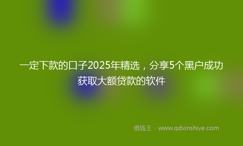 一定下款的口子2025年精选，分享5个黑户成功获取大额贷款的软件