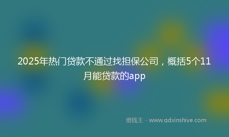2025年热门贷款不通过找担保公司，概括5个11月能贷款的app