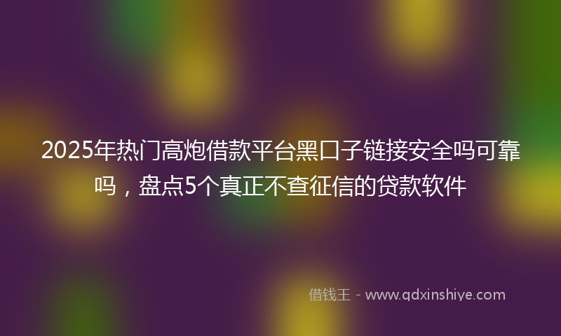 2025年热门高炮借款平台黑口子链接安全吗可靠吗，盘点5个真正不查征信的贷款软件