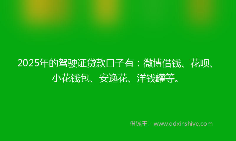 2025年的驾驶证贷款口子有：微博借钱、花呗、小花钱包、安逸花、洋钱罐等。