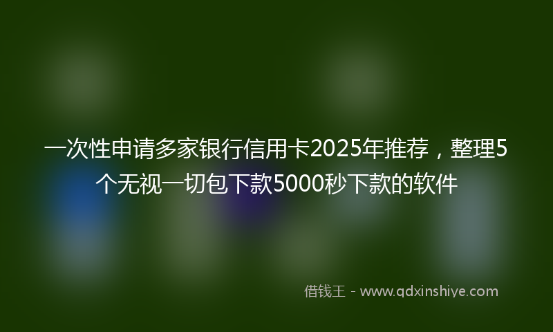 一次性申请多家银行信用卡2025年推荐，整理5个无视一切包下款5000秒下款的软件