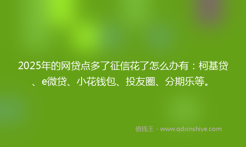 2025年的网贷点多了征信花了怎么办有：柯基贷、e微贷、小花钱包、投友圈、分期乐等。