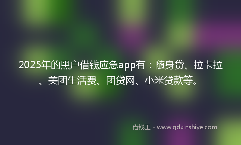 2025年的黑户借钱应急app有：随身贷、拉卡拉、美团生活费、团贷网、小米贷款等。