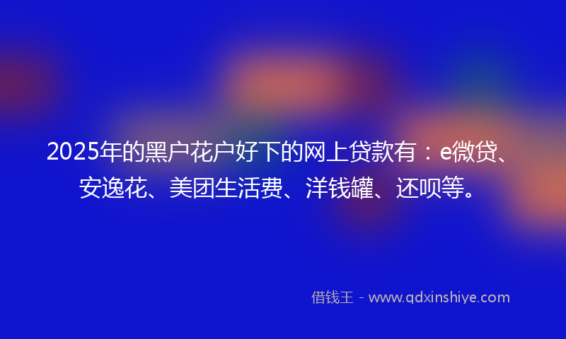 2025年的黑户花户好下的网上贷款有：e微贷、安逸花、美团生活费、洋钱罐、还呗等。