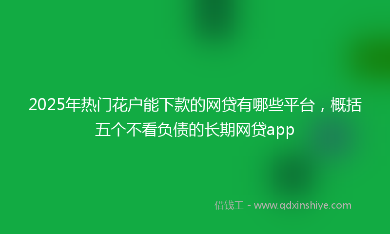 2025年热门花户能下款的网贷有哪些平台，概括五个不看负债的长期网贷app