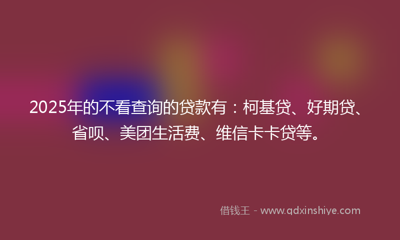 2025年的不看查询的贷款有：柯基贷、好期贷、省呗、美团生活费、维信卡卡贷等。