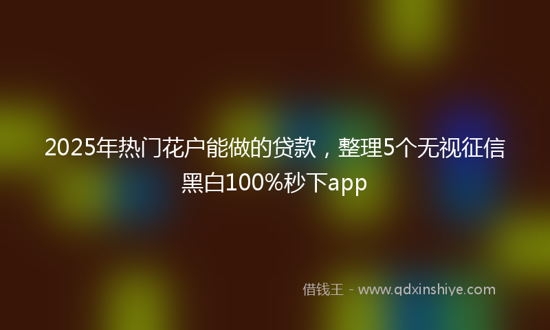 2025年热门花户能做的贷款，整理5个无视征信黑白100%秒下app