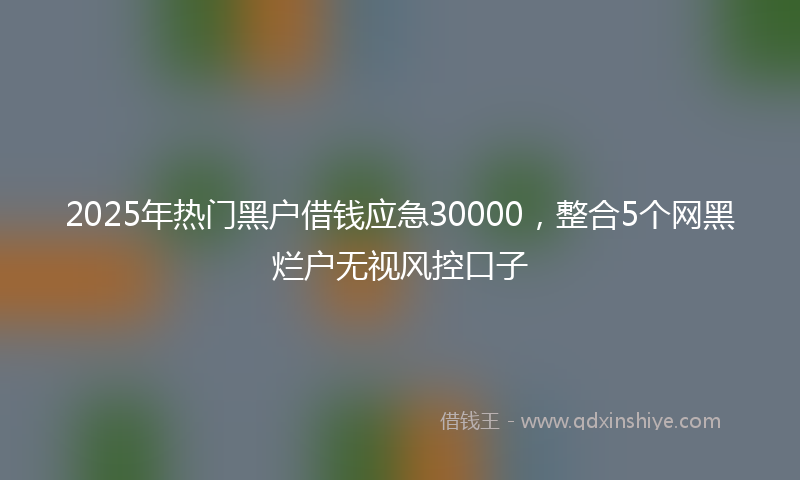 2025年热门黑户借钱应急30000，整合5个网黑烂户无视风控口子