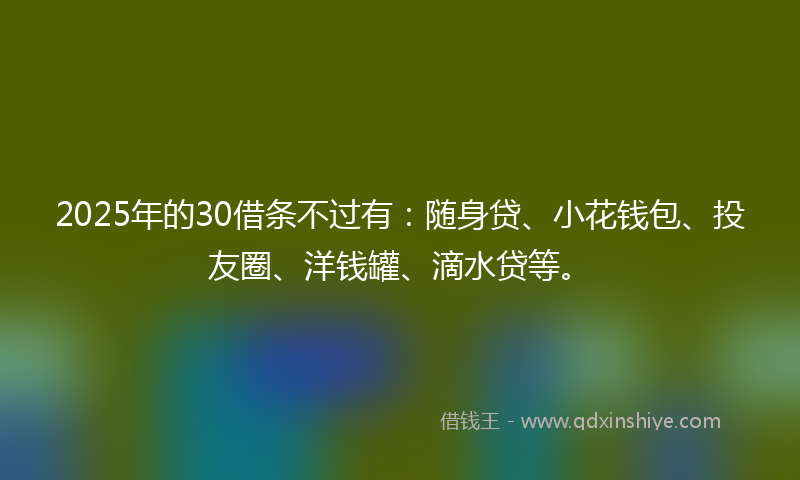 2025年的30借条不过有：随身贷、小花钱包、投友圈、洋钱罐、滴水贷等。