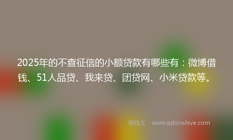 2025年的不查征信的小额贷款有哪些有：微博借钱、51人品贷、我来贷、团贷网、小米贷款等。