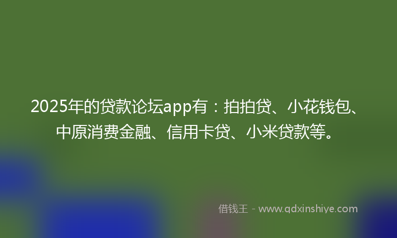 2025年的贷款论坛app有：拍拍贷、小花钱包、中原消费金融、信用卡贷、小米贷款等。