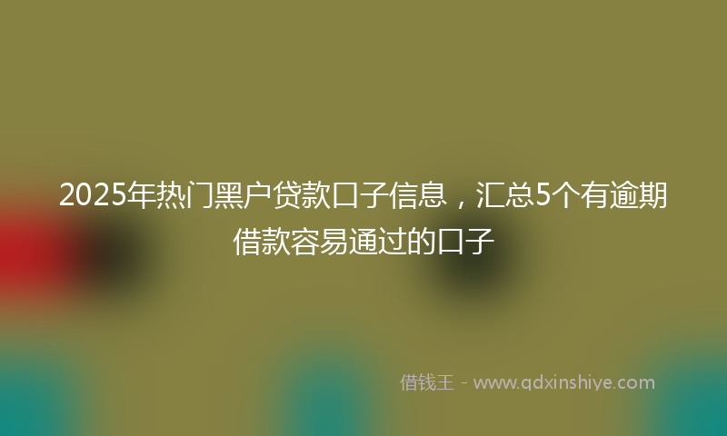 2025年热门黑户贷款口子信息，汇总5个有逾期借款容易通过的口子