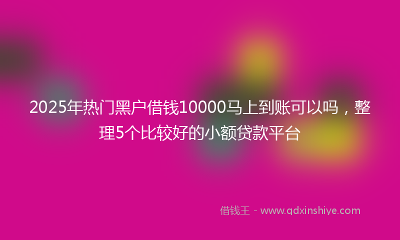2025年热门黑户借钱10000马上到账可以吗，整理5个比较好的小额贷款平台