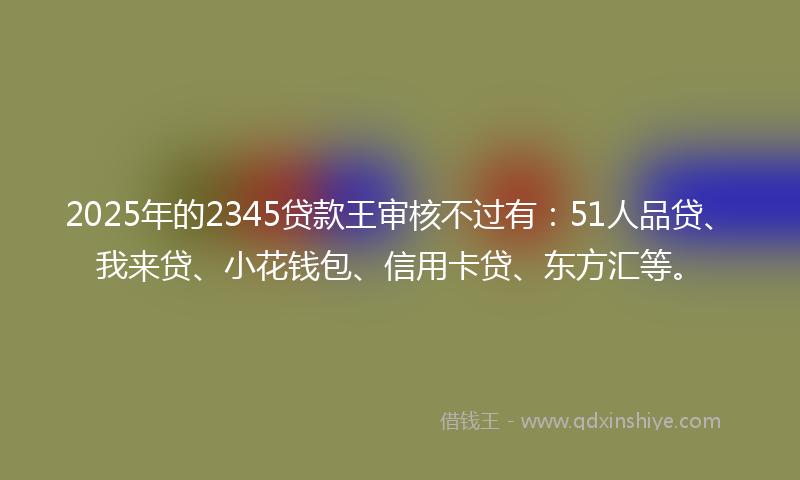 2025年的2345贷款王审核不过有:51人品贷、我来贷、小花钱包、信用卡贷、东方汇等。