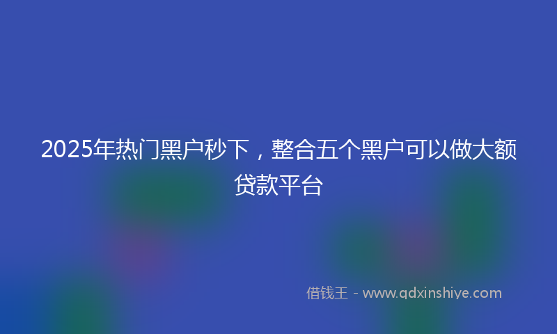 2025年热门黑户秒下，整合五个黑户可以做大额贷款平台