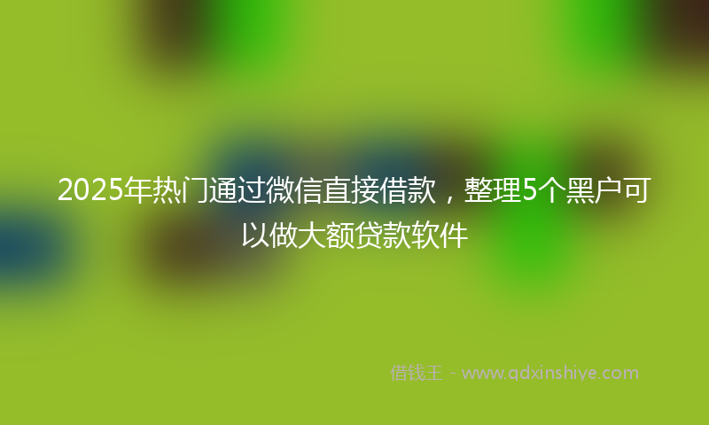 2025年热门通过微信直接借款，整理5个黑户可以做大额贷款软件