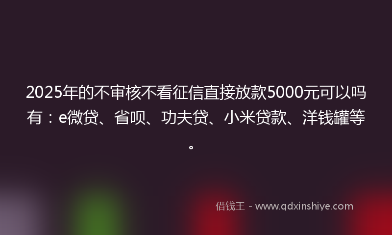 2025年的不审核不看征信直接放款5000元可以吗有：e微贷、省呗、功夫贷、小米贷款、洋钱罐等。