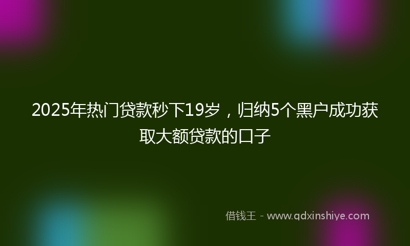 2025年热门贷款秒下19岁，归纳5个黑户成功获取大额贷款的口子