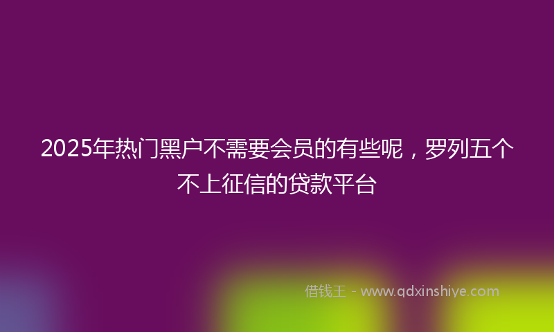 2025年热门黑户不需要会员的有些呢，罗列五个不上征信的贷款平台