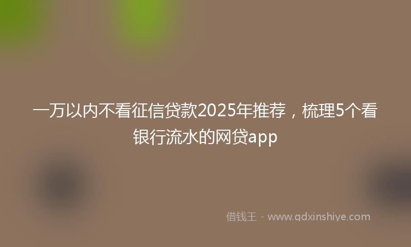 一万以内不看征信贷款2025年推荐,梳理5个看银行流水的网贷app