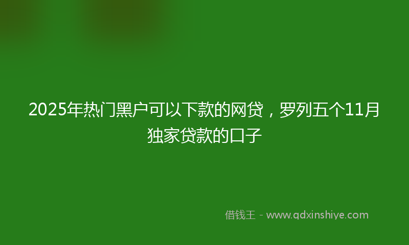 2025年热门黑户可以下款的网贷,罗列五个11月独家贷款的口子