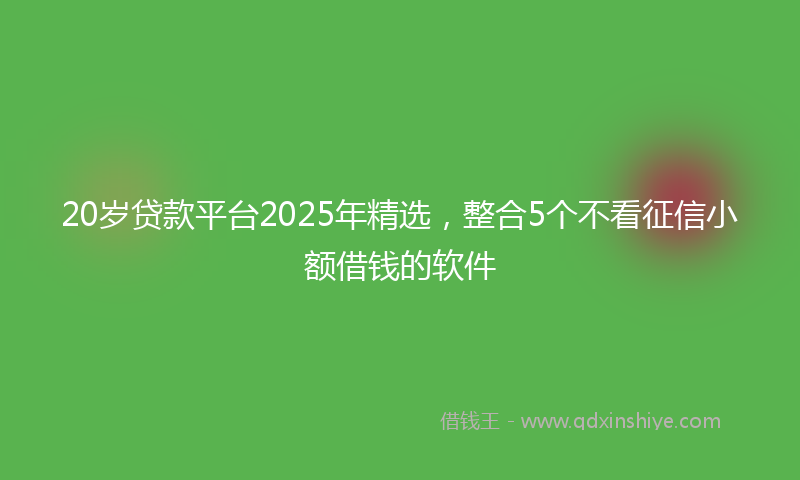 20岁贷款平台2025年精选，整合5个不看征信小额借钱的软件