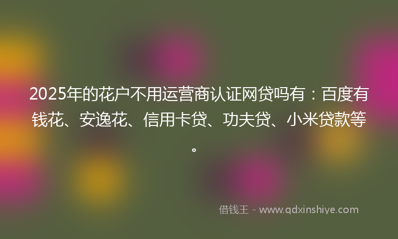 2025年的花户不用运营商认证网贷吗有:百度有钱花、安逸花、信用卡贷、功夫贷、小米贷款等。