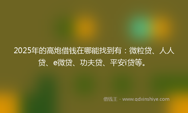 2025年的高炮借钱在哪能找到有：微粒贷、人人贷、e微贷、功夫贷、平安i贷等。