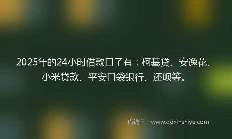 2025年的24小时借款口子有：柯基贷、安逸花、小米贷款、平安口袋银行、还呗等。