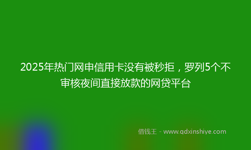 2025年热门网申信用卡没有被秒拒，罗列5个不审核夜间直接放款的网贷平台