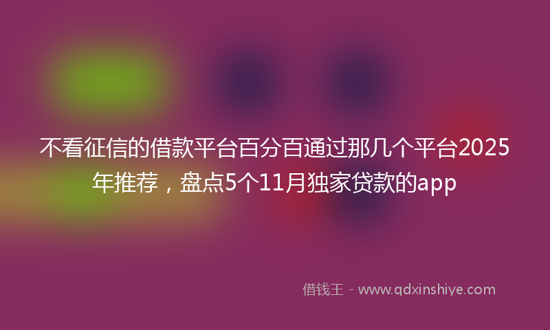 不看征信的借款平台百分百通过那几个平台2025年推荐，盘点5个11月独家贷款的app