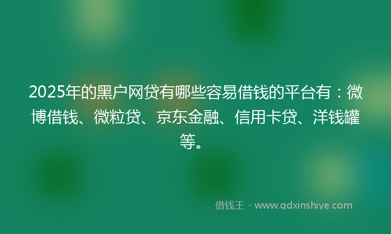 2025年的黑户网贷有哪些容易借钱的平台有：微博借钱、微粒贷、京东金融、信用卡贷、洋钱罐等。