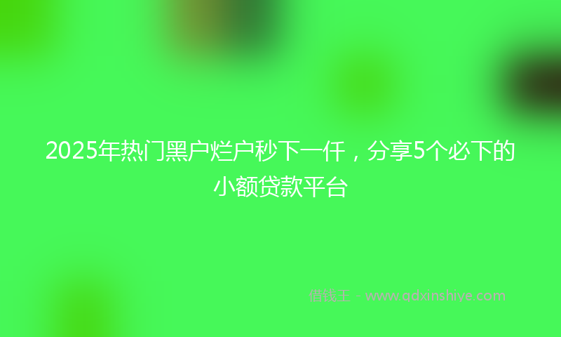 2025年热门黑户烂户秒下一仟，分享5个必下的小额贷款平台