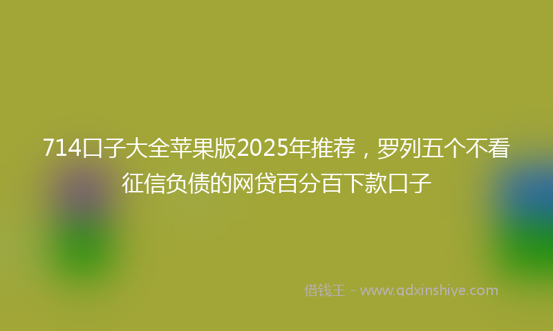 714口子大全苹果版2025年推荐，罗列五个不看征信负债的网贷百分百下款口子
