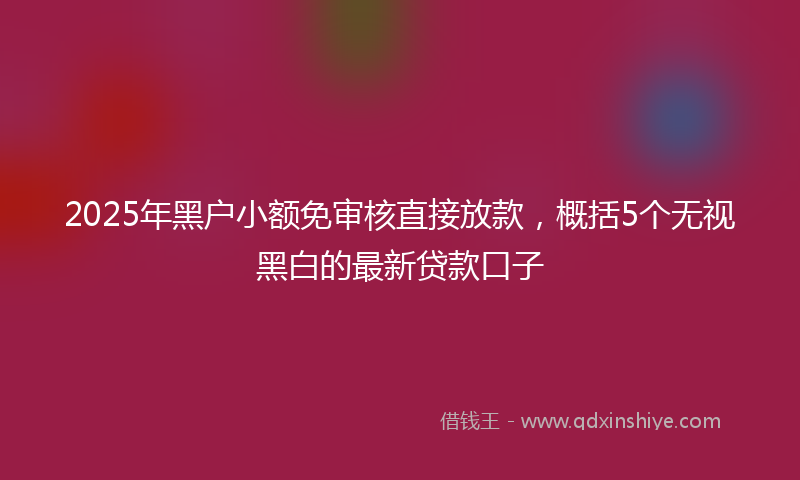 2025年黑户小额免审核直接放款，概括5个无视黑白的最新贷款口子