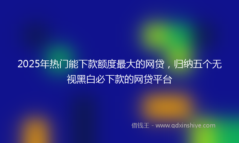 2025年热门能下款额度最大的网贷,归纳五个无视黑白必下款的网贷平台