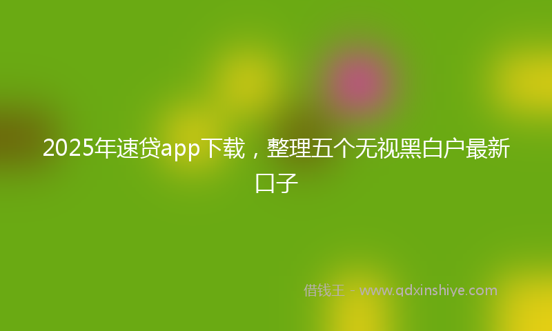 2025年速贷app下载，整理五个无视黑白户最新口子