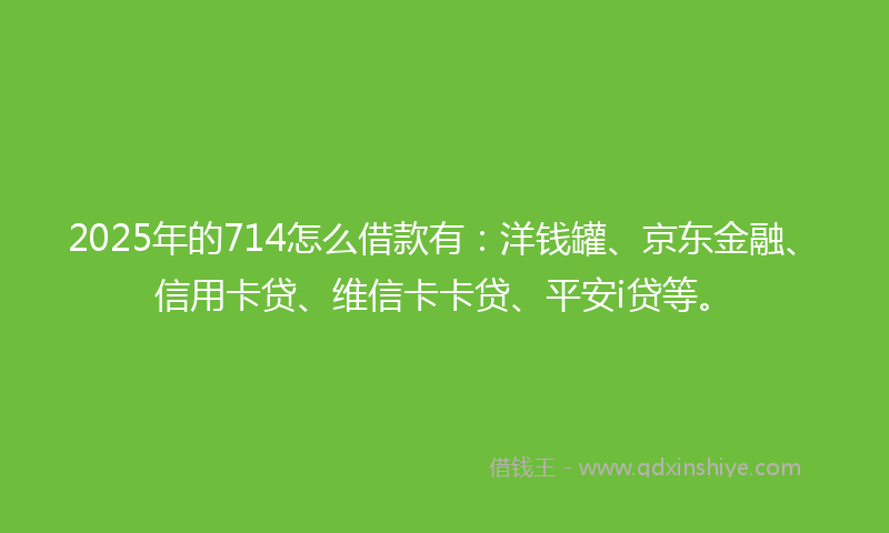 2025年的714怎么借款有：洋钱罐、京东金融、信用卡贷、维信卡卡贷、平安i贷等。