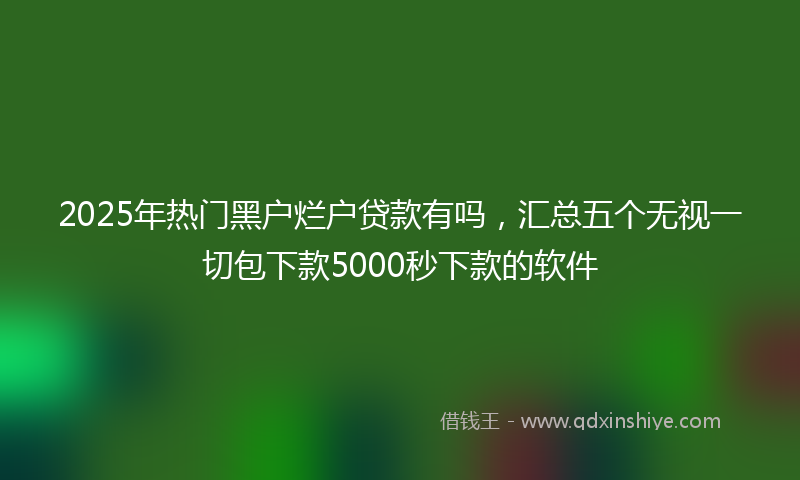 2025年热门黑户烂户贷款有吗，汇总五个无视一切包下款5000秒下款的软件