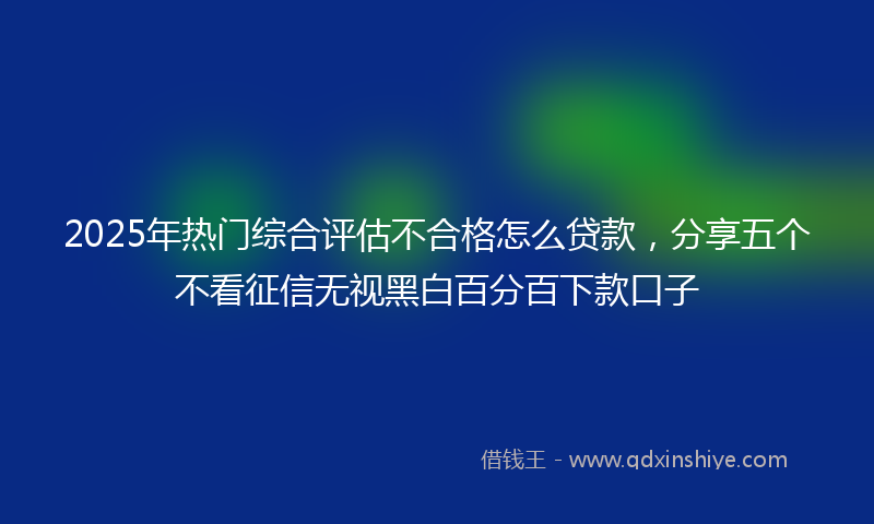 2025年热门综合评估不合格怎么贷款，分享五个不看征信无视黑白百分百下款口子