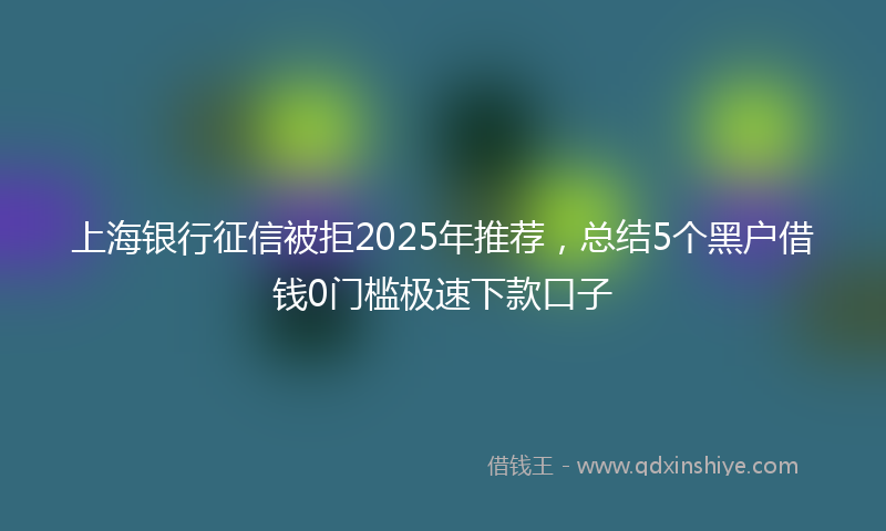 上海银行征信被拒2025年推荐，总结5个黑户借钱0门槛极速下款口子