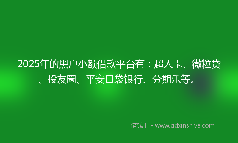 2025年的黑户小额借款平台有：超人卡、微粒贷、投友圈、平安口袋银行、分期乐等。