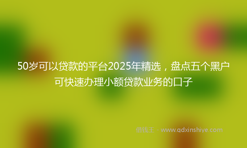 50岁可以贷款的平台2025年精选，盘点五个黑户可快速办理小额贷款业务的口子