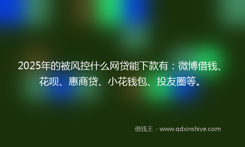 2025年的被风控什么网贷能下款有：微博借钱、花呗、惠商贷、小花钱包、投友圈等。