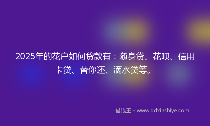 2025年的花户如何贷款有：随身贷、花呗、信用卡贷、替你还、滴水贷等。