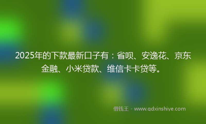 2025年的下款最新口子有：省呗、安逸花、京东金融、小米贷款、维信卡卡贷等。