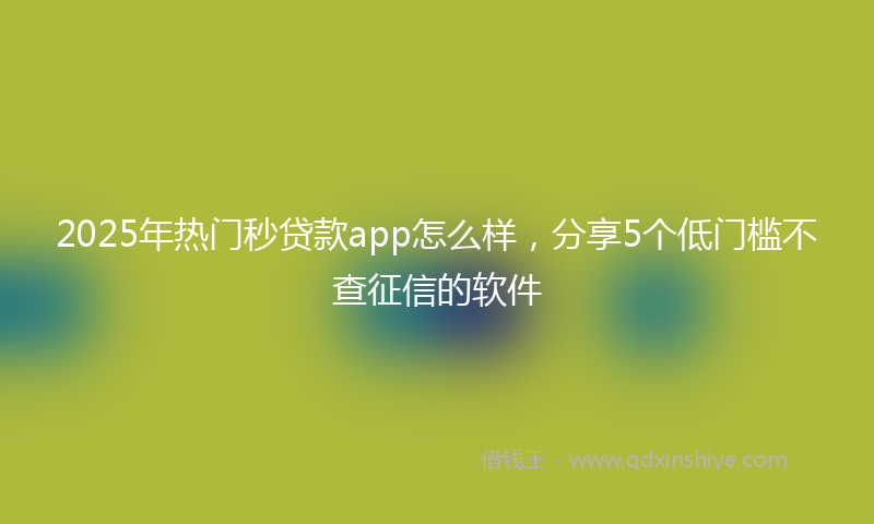 2025年热门秒贷款app怎么样，分享5个低门槛不查征信的软件